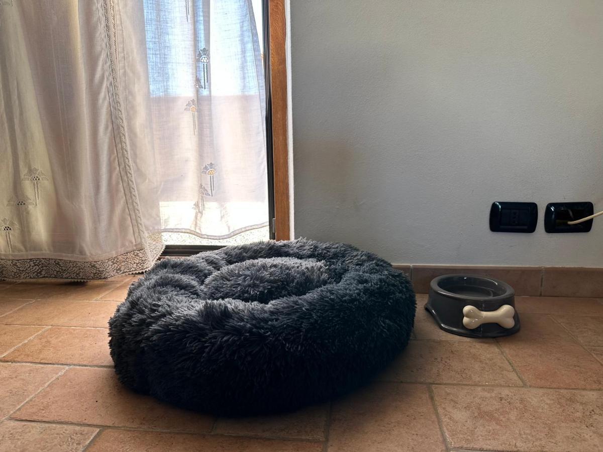 Вилла Crock House Funtana Meiga Экстерьер фото